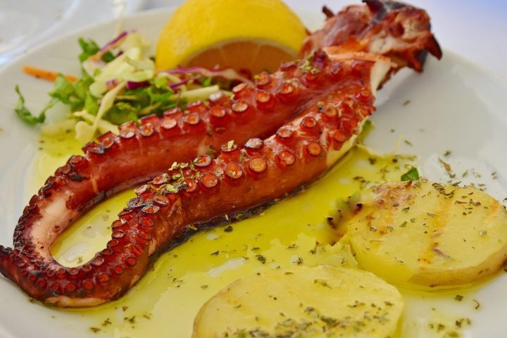 Charred Octopus