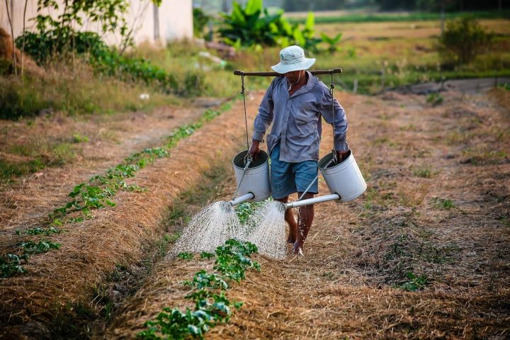 Meet the farms behind the menu
